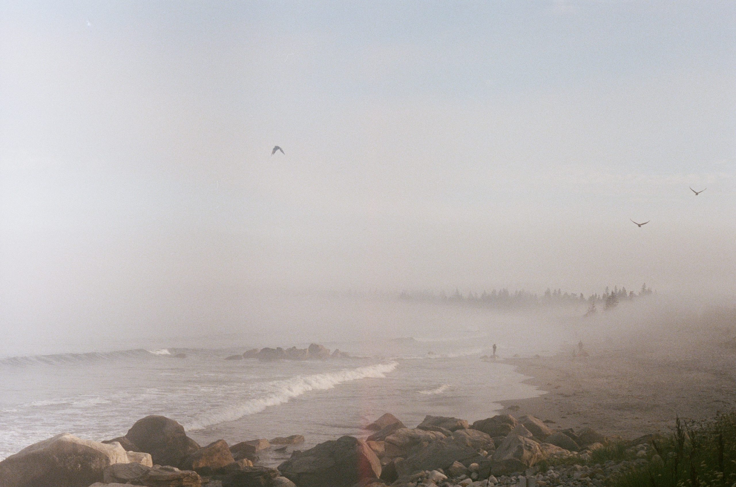 Misty beach with a wave breaking
