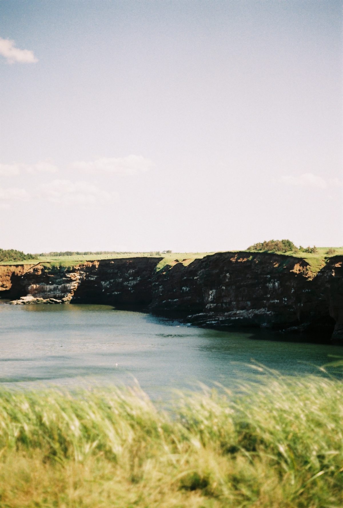 Seashore with dark cliffs and green fields